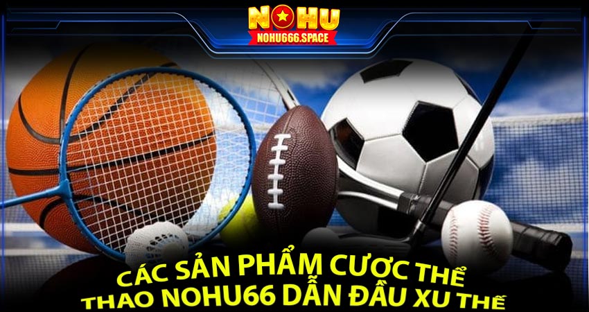 Sản Phẩm Cược Thể Thao Nohu66 Dẫn Đầu Xu Thế